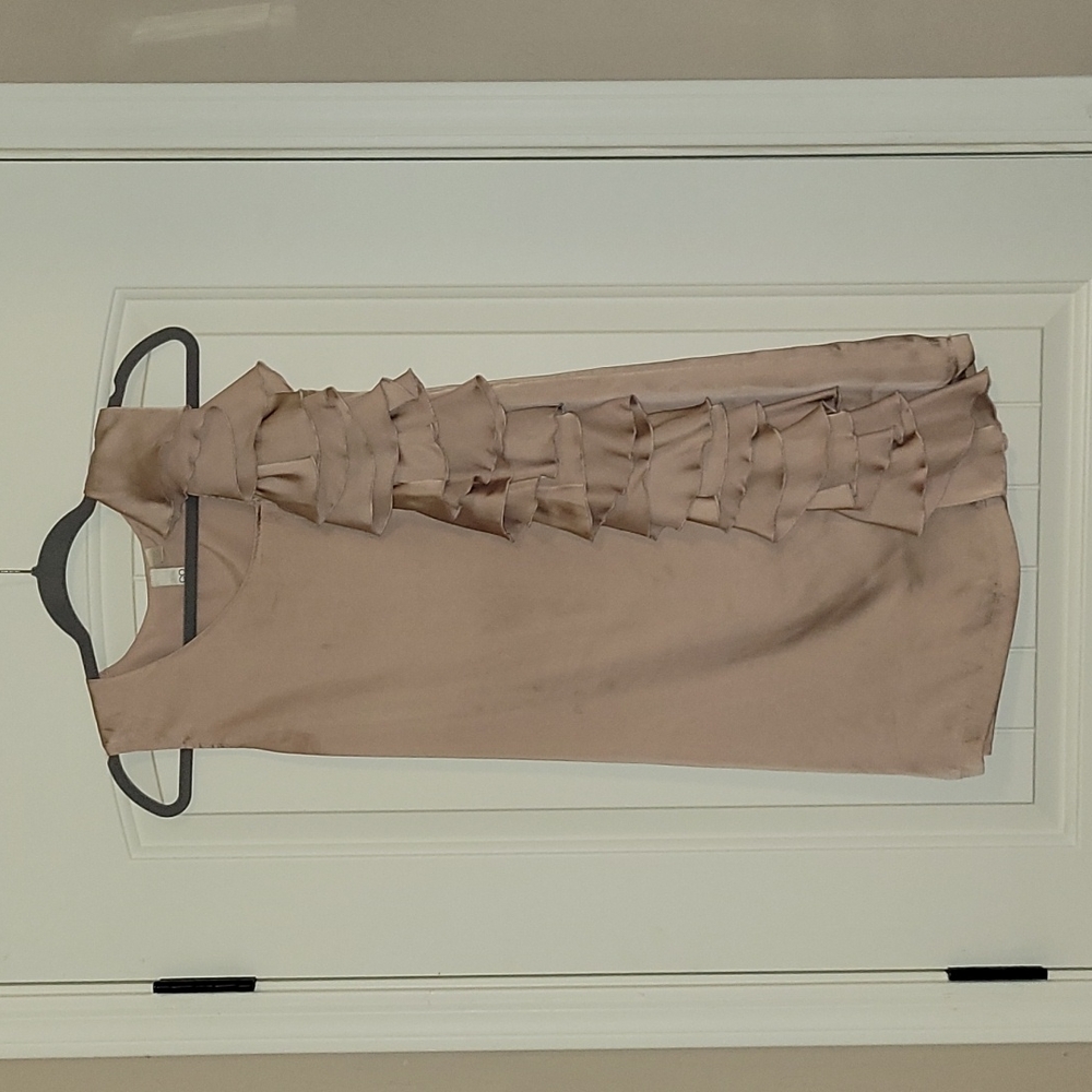 Go International Ruffled blush mini silk dress, XSmall